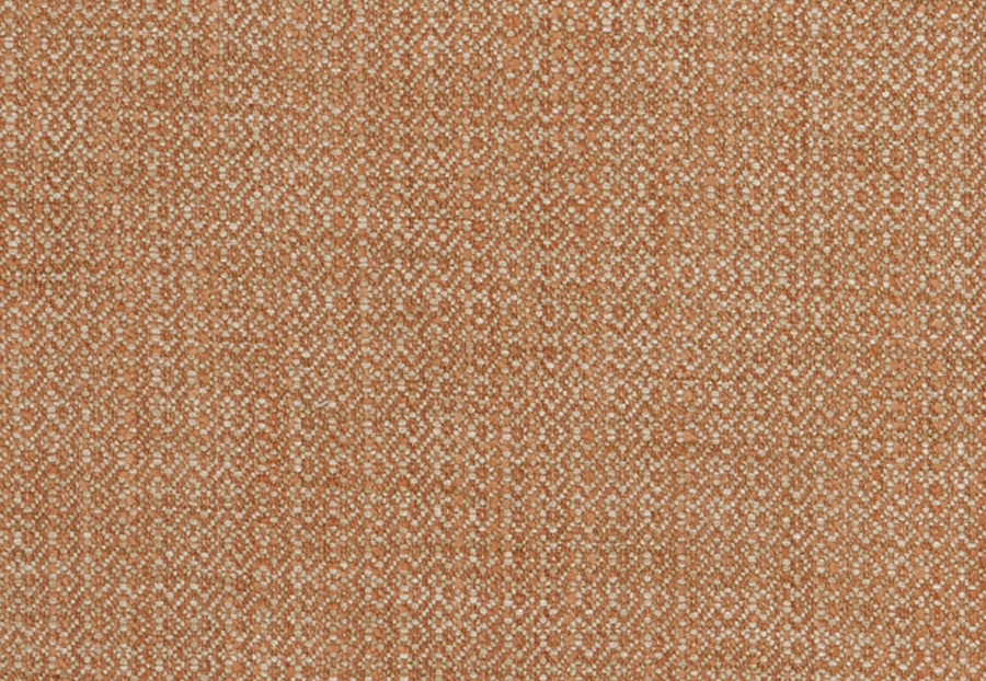 Ткань Fabricut Chromatics Vol.XXV Coral Palindrome/Yam