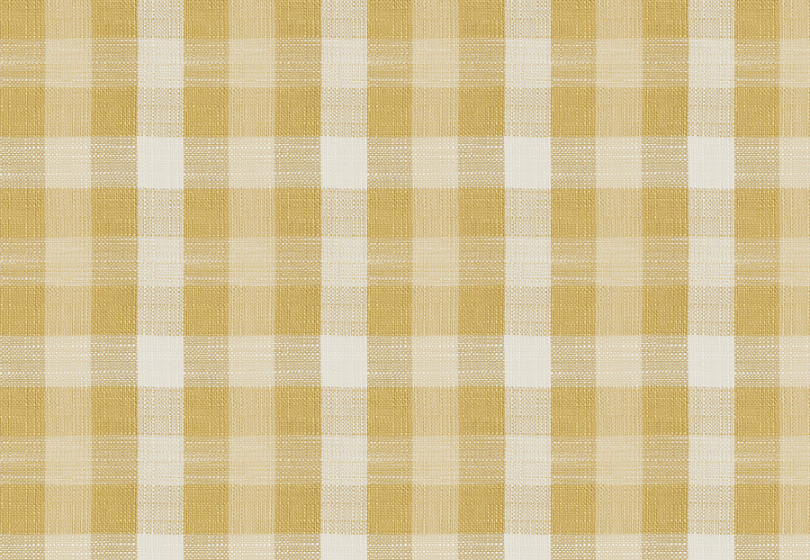 Ткань Fabricut Chromatics Vol.XXV Gilt Abani Check/Citrus