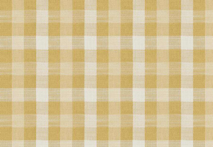 Ткань Fabricut Chromatics Vol.XXV Gilt Abani Check/Citrus