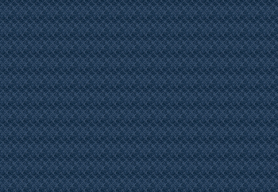Ткань Fabricut Chromatics Vol.XXV Indigo Bevo/Denim
