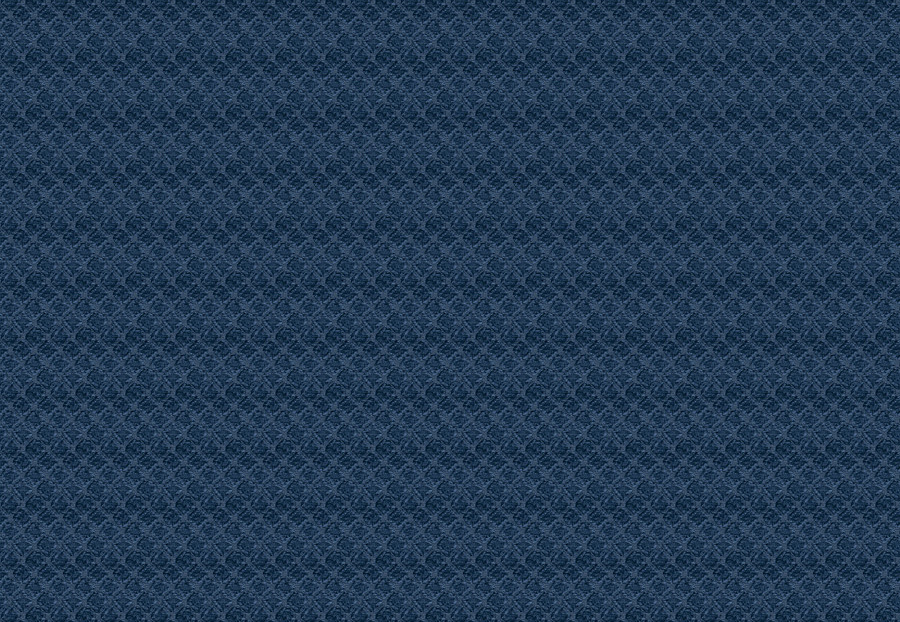 Ткань Fabricut Chromatics Vol.XXV Indigo Bevo/Denim