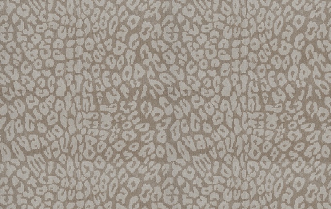 Американская ткань Fabricut, коллекция Chromatics Vol.XXV Oyster, артикул Dactyl spots/Platinum