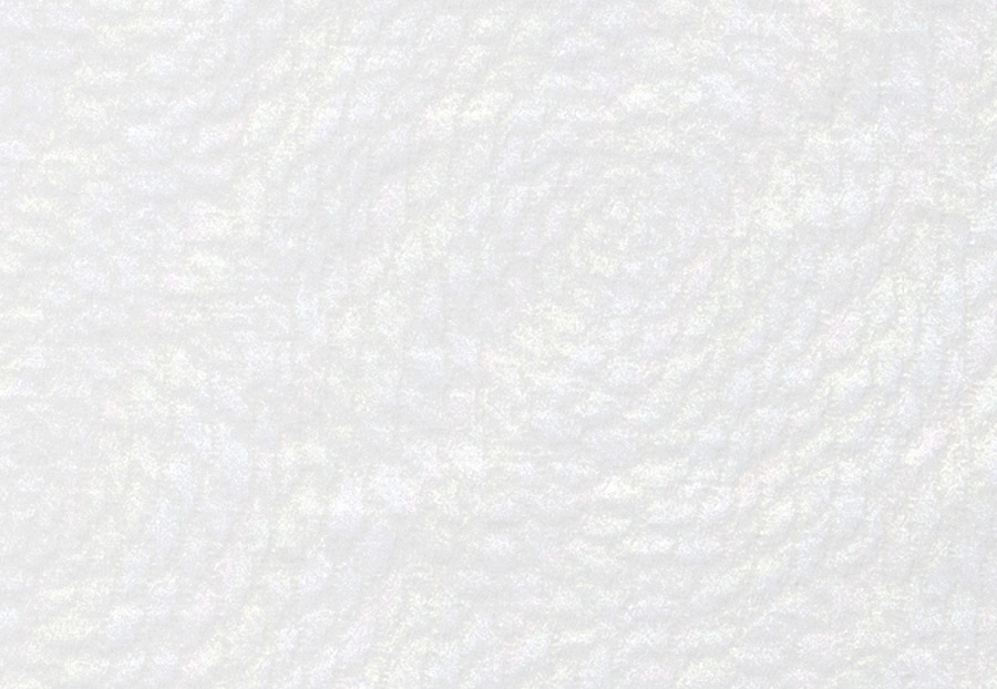 Ткань Fabricut Chromatics Vol.XXV Oyster Caesura/Cloud