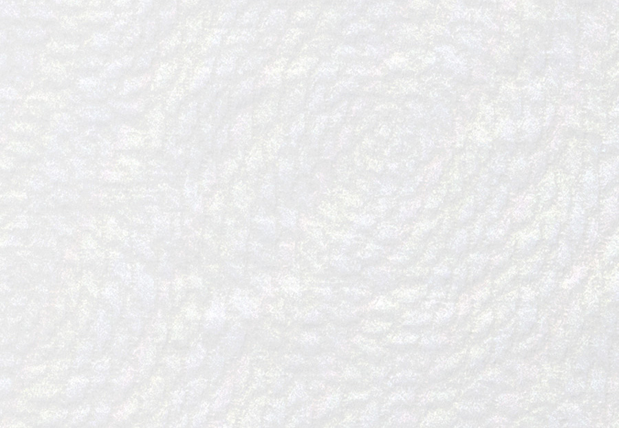 Ткань Fabricut Chromatics Vol.XXV Oyster Caesura/Cloud