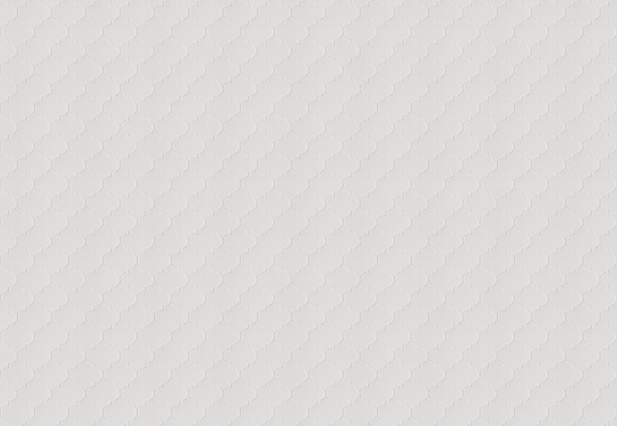 Ткань Fabricut Chromatics Vol.XXV Oyster Ode ogee/Snow