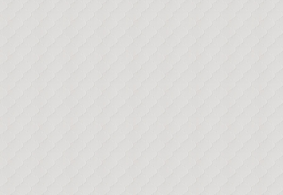 Ткань Fabricut Chromatics Vol.XXV Oyster Ode ogee/Snow