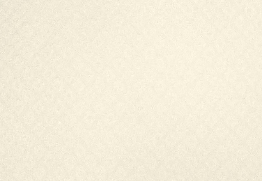 Ткань Fabricut Chromatics Vol.XXV Oyster Tolson/Ivory