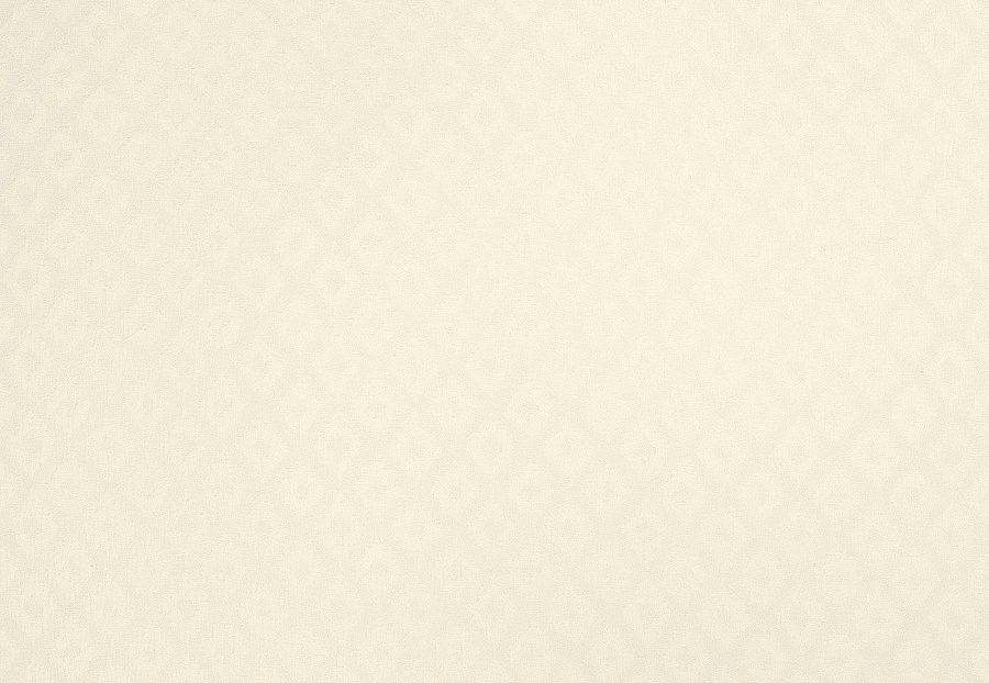 Ткань Fabricut Chromatics Vol.XXV Oyster Tolson/Ivory