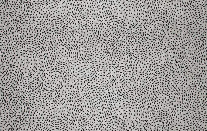 Американская ткань Fabricut, коллекция Chromatics Vol.XXV Oyster, артикул Litotes spots/Zebra