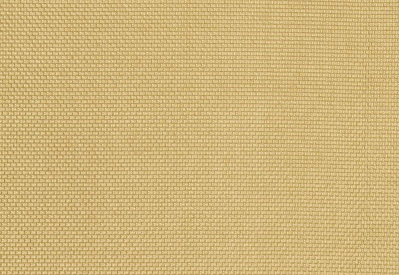 Ткань Fabricut Color Studio Vol.VIII Citron Knicknack/Citron