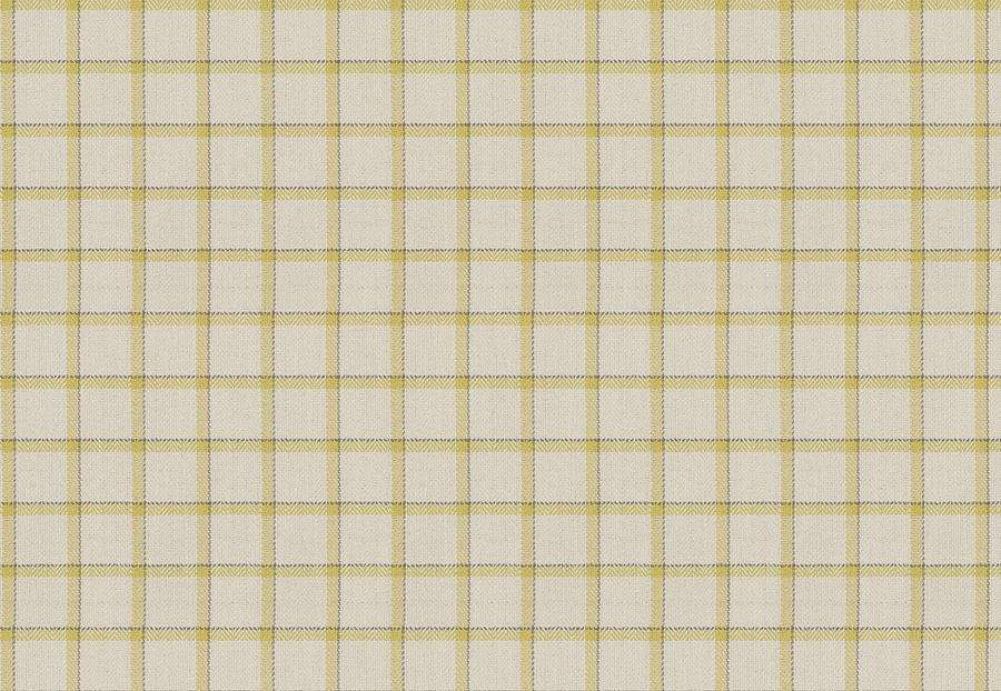 Ткань Fabricut Color Studio Vol.VIII Citron Campaign plaid/Citrine