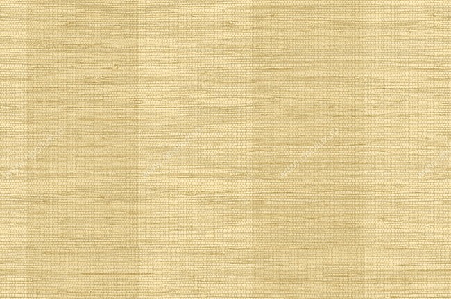 Обои York Stripes Resource SB4825