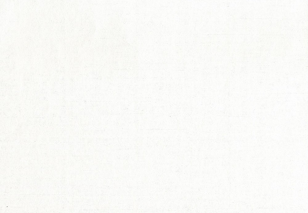 Обои Sirpi Rhinoceros 15572