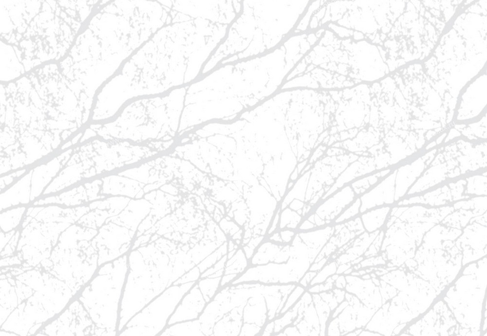 Обои Eco White Light 1736