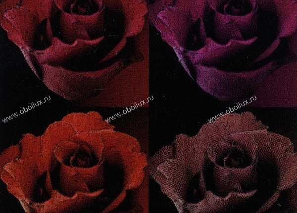 Обои Eco Rose 2212