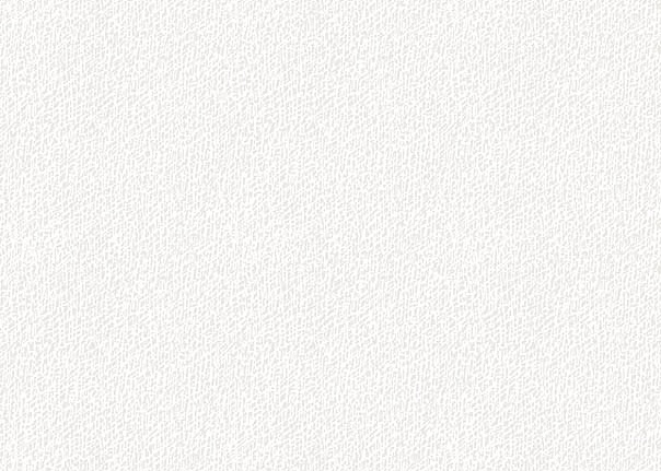 Обои Eco White 1055