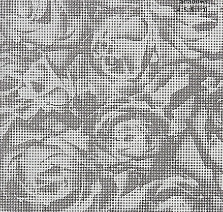 Обои BN International Shadows 45510