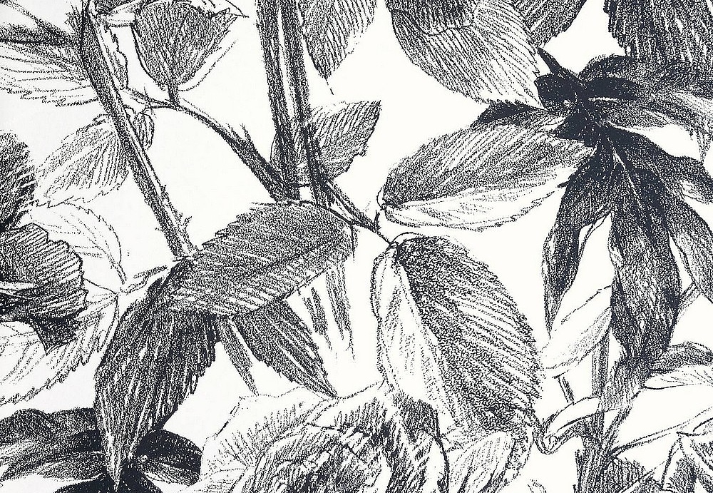 Обои Clarke & Clarke Floribunda W0037-07
