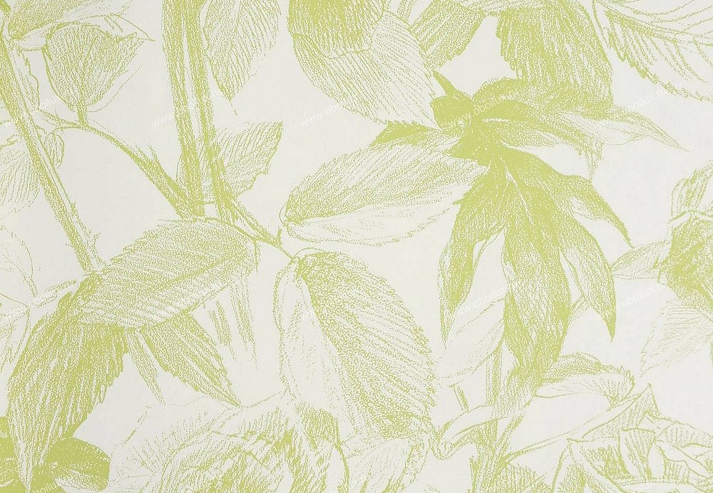 Обои Clarke & Clarke Floribunda W0037-08