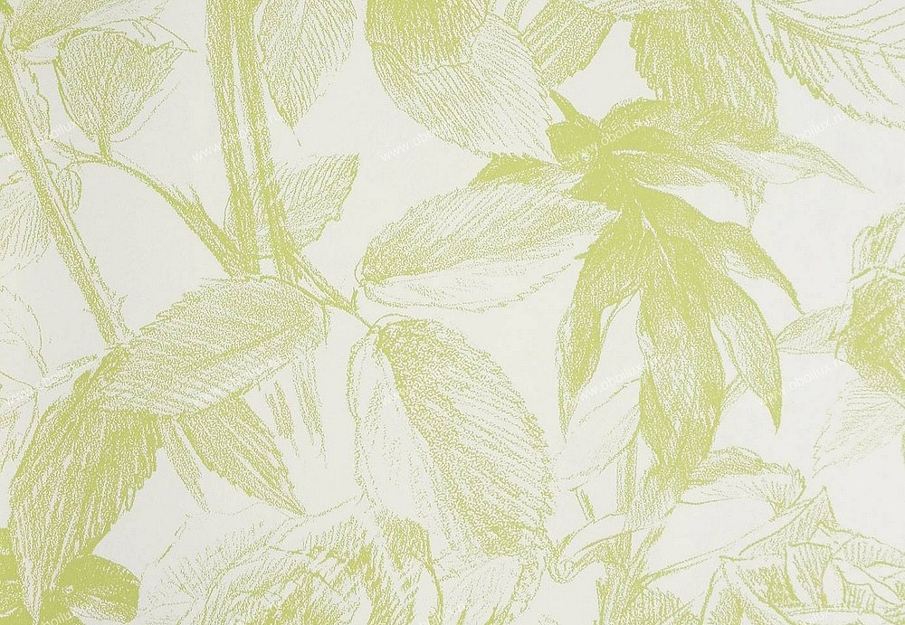 Обои Clarke & Clarke Floribunda W0037-08