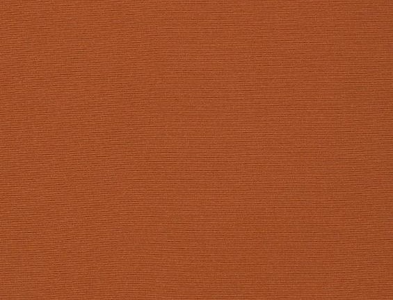 Ткань Daylight Welt Welt/Clementine
