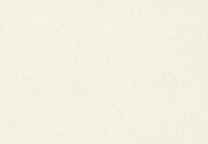 Ткань Daylight Basic Linings Husselt/Swan