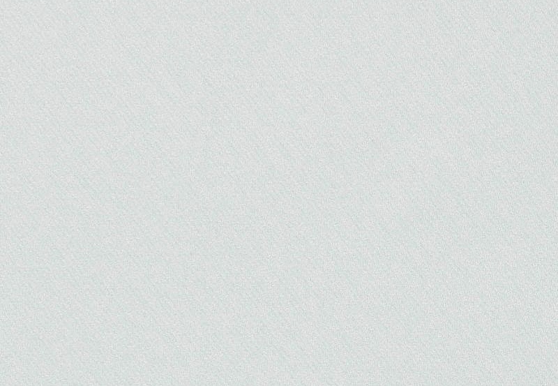 Ткань Daylight Basic Linings Gent/Silver