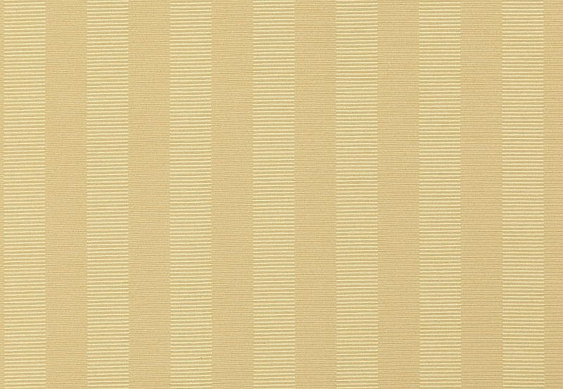 Ткань Daylight Avy Ally/Straw