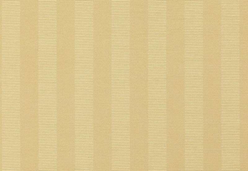 Ткань Daylight Avy Ally/Straw