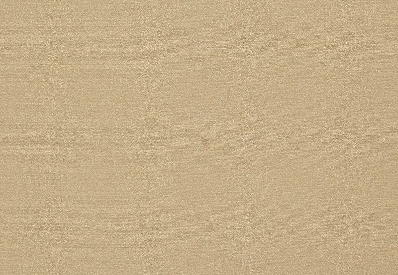 Ткань Daylight Avy Vertus/Biscotti
