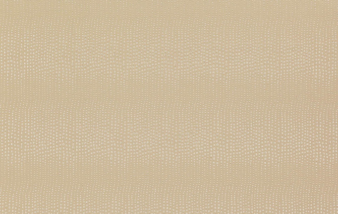 Бельгийская ткань Daylight, коллекция Avy, артикул Avy/Raffia