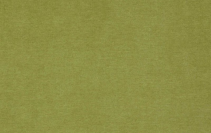 Бельгийская ткань Daylight, коллекция Thermic, артикул Comfy/Fern
