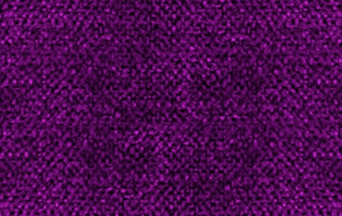Бельгийская ткань Daylight, коллекция Primiero, артикул Primiero/Plum