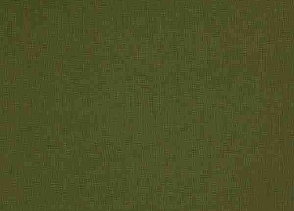 Ткань Daylight Supreme Cashmere/Chive
