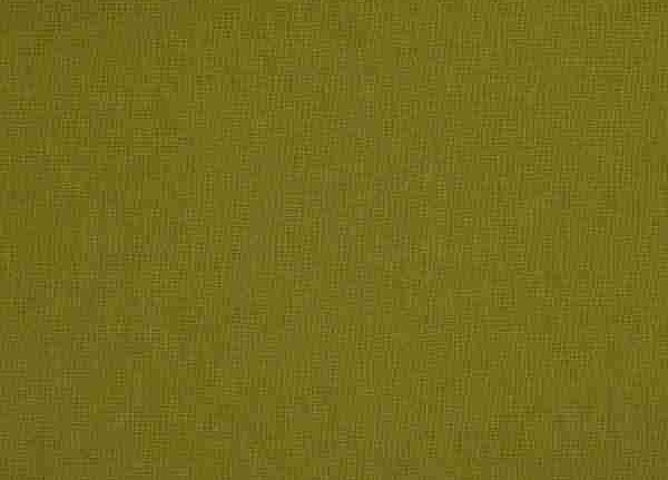 Ткань Daylight Supreme Cashmere/Moss