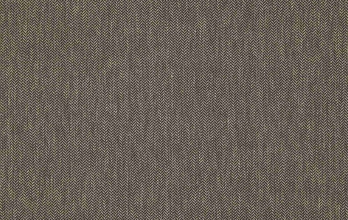 Бельгийская ткань Daylight, коллекция Supreme, артикул Parfait/Charcoal