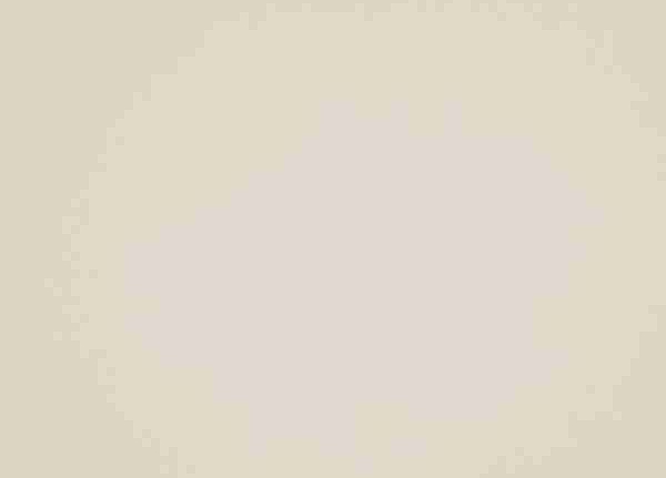 Ткань Daylight Supreme Cashmere/Parchment