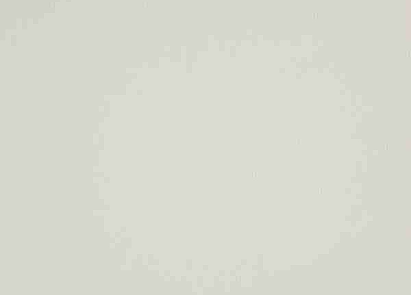 Ткань Daylight Supreme Cashmere/Pearl