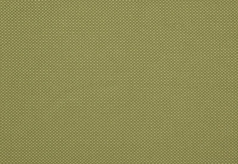 Ткань Daylight Falcon Falcon/Moss