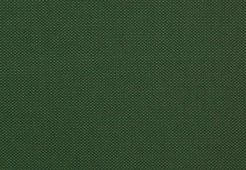 Ткань Daylight Falcon Falcon/Fern