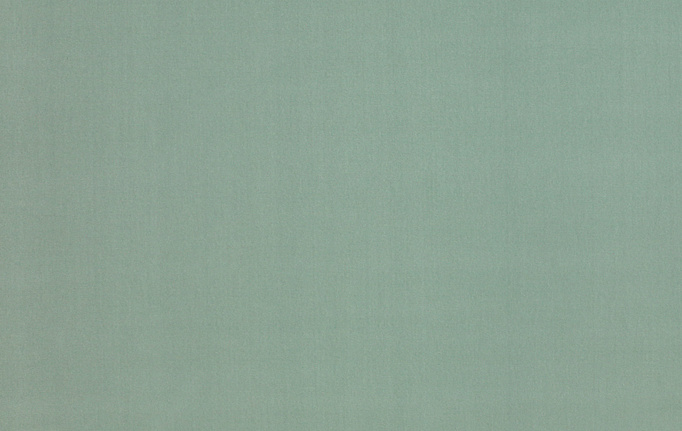 Французская ткань Manuel Canovas, коллекция Rivoli, артикул 04982/25