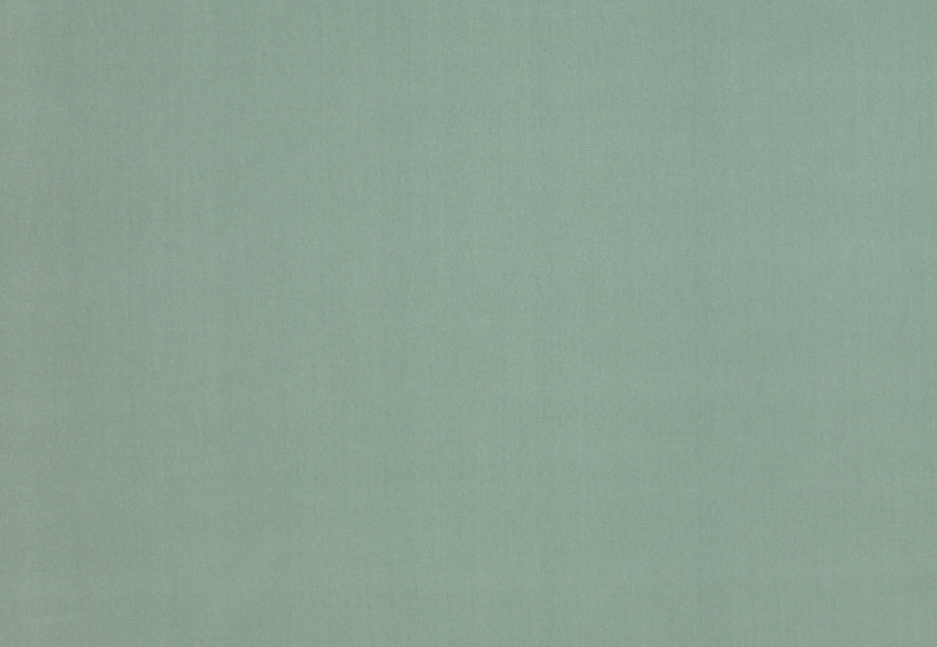 Ткань Manuel Canovas Rivoli 04982/25