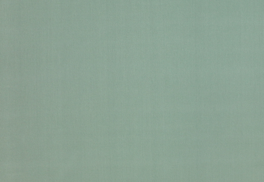 Ткань Manuel Canovas Rivoli 04982/25