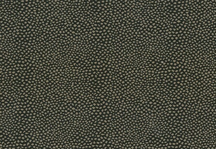 Ткань Thevenon Beluga/Nuage 2182717