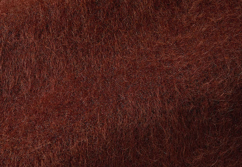 Ткань Pierre Frey Yeti/Malou F3290014
