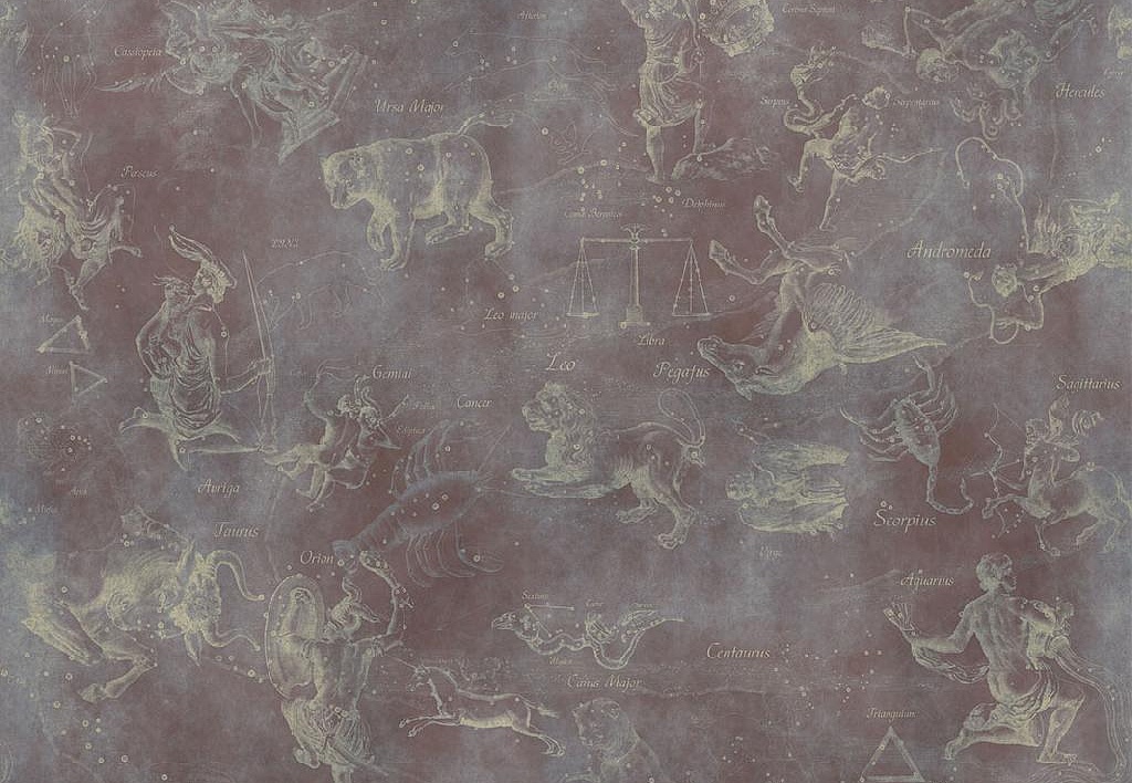 Панно и фотообои Affresco Цветариум Uranographia Color 1