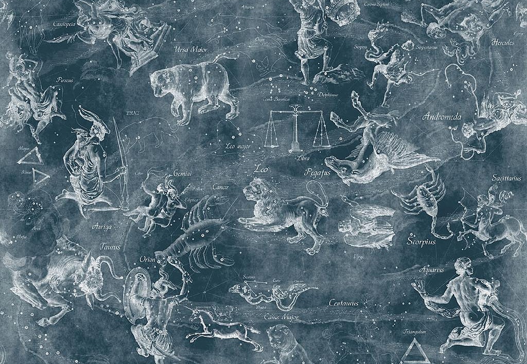 Панно и фотообои Affresco Цветариум Uranographia Color 3