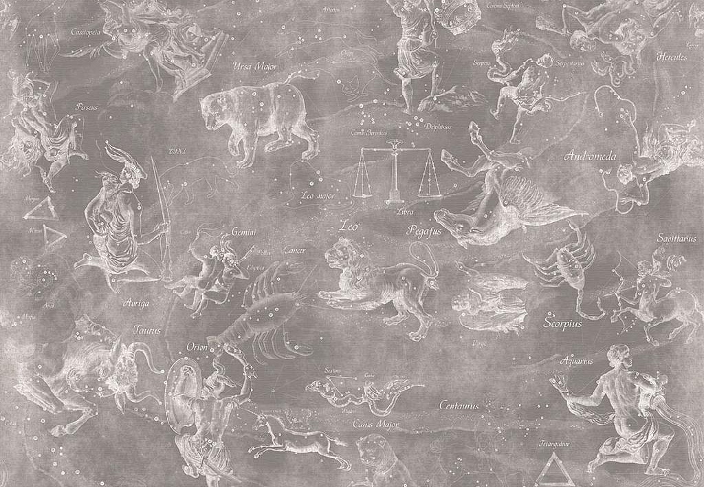 Панно и фотообои Affresco Цветариум Uranographia Color 4