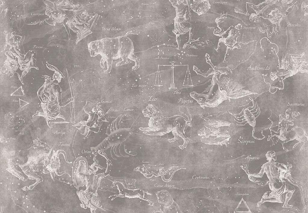 Панно и фотообои Affresco Цветариум Uranographia Color 4