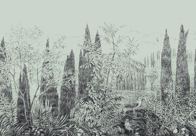 Панно и фотообои Affresco Dream Forest DG68 COL2